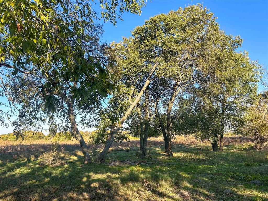 112 Hill Ranch Road Property Photo 13