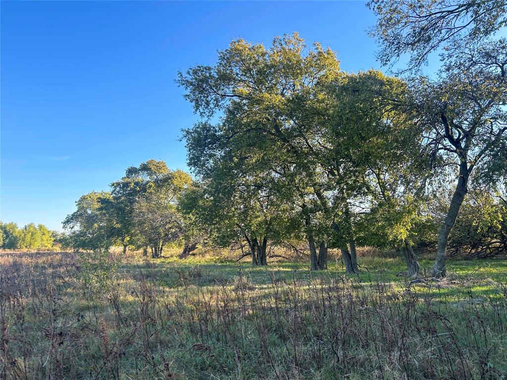 112 Hill Ranch Road Property Photo 20