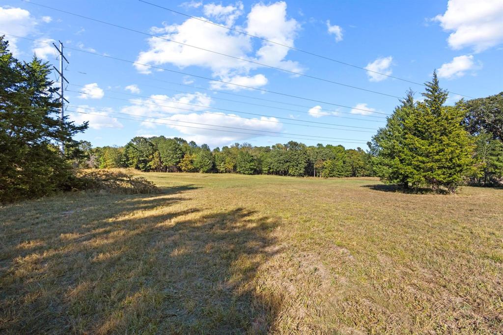 445 Wildflower Way Property Photo 9