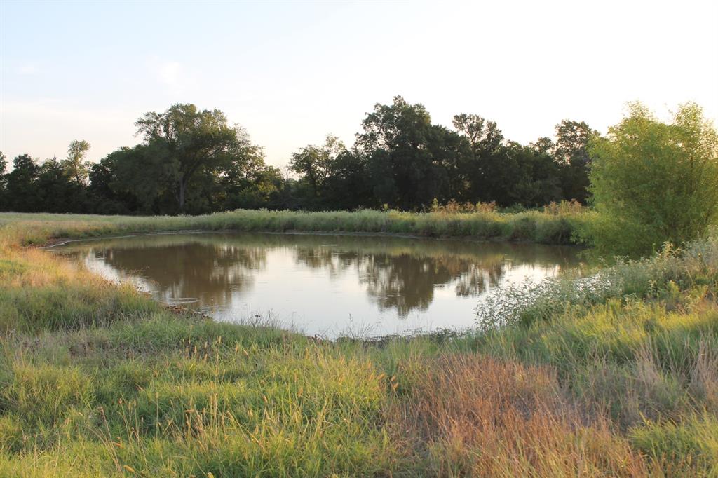 227 Ac Cr 1137 Property Photo 15