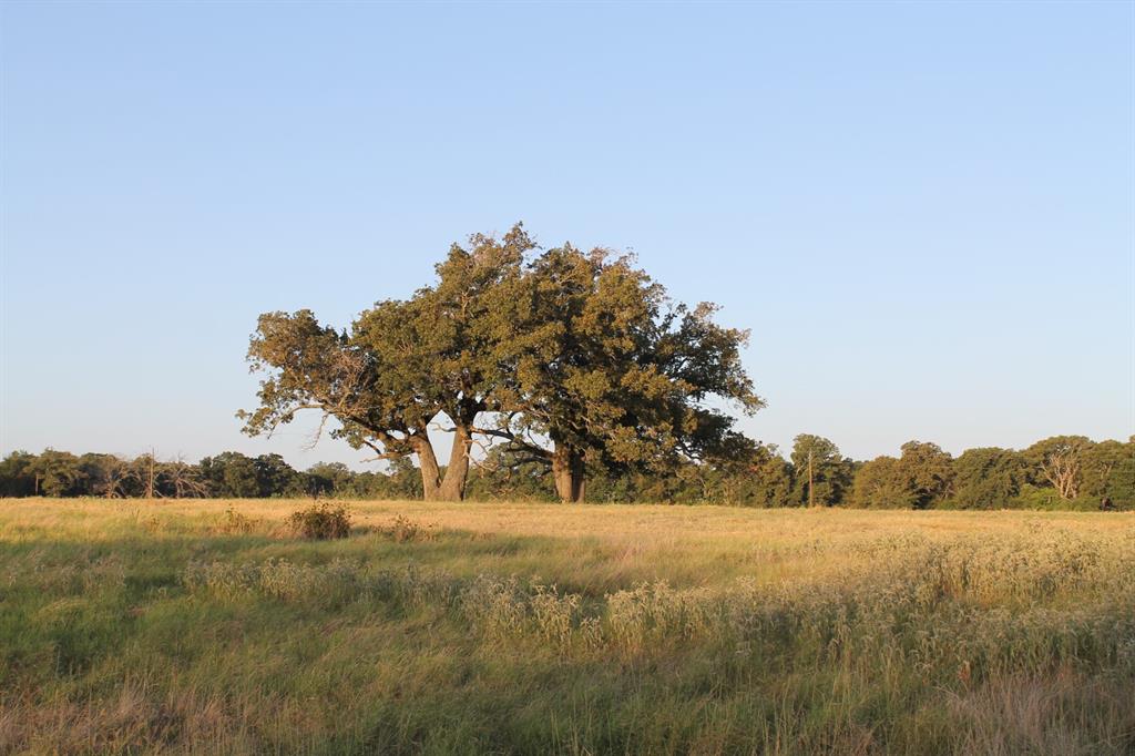 227 Ac Cr 1137 Property Photo 16