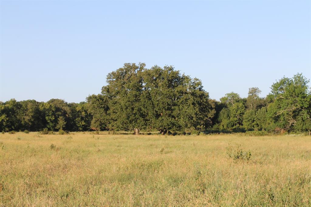 227 Ac Cr 1137 Property Photo 17