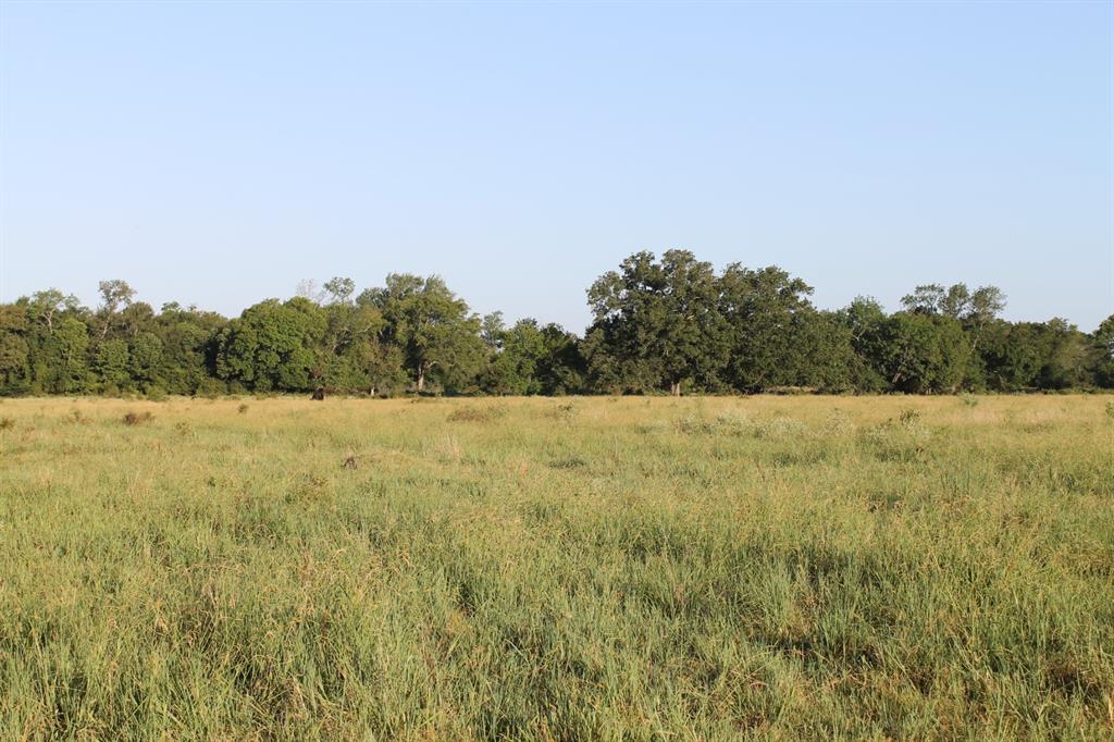 227 Ac Cr 1137 Property Photo 18