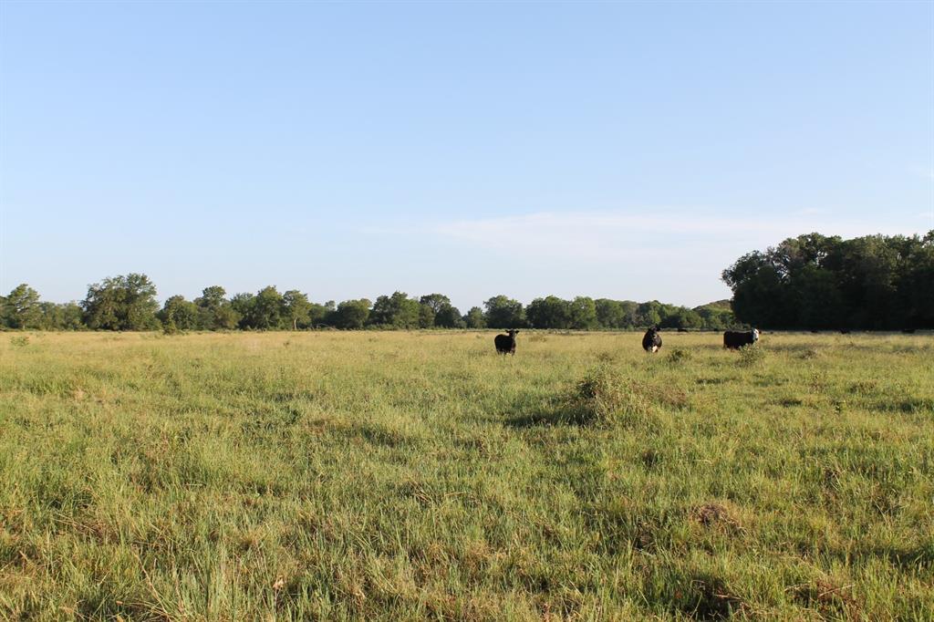 227 Ac Cr 1137 Property Photo 19