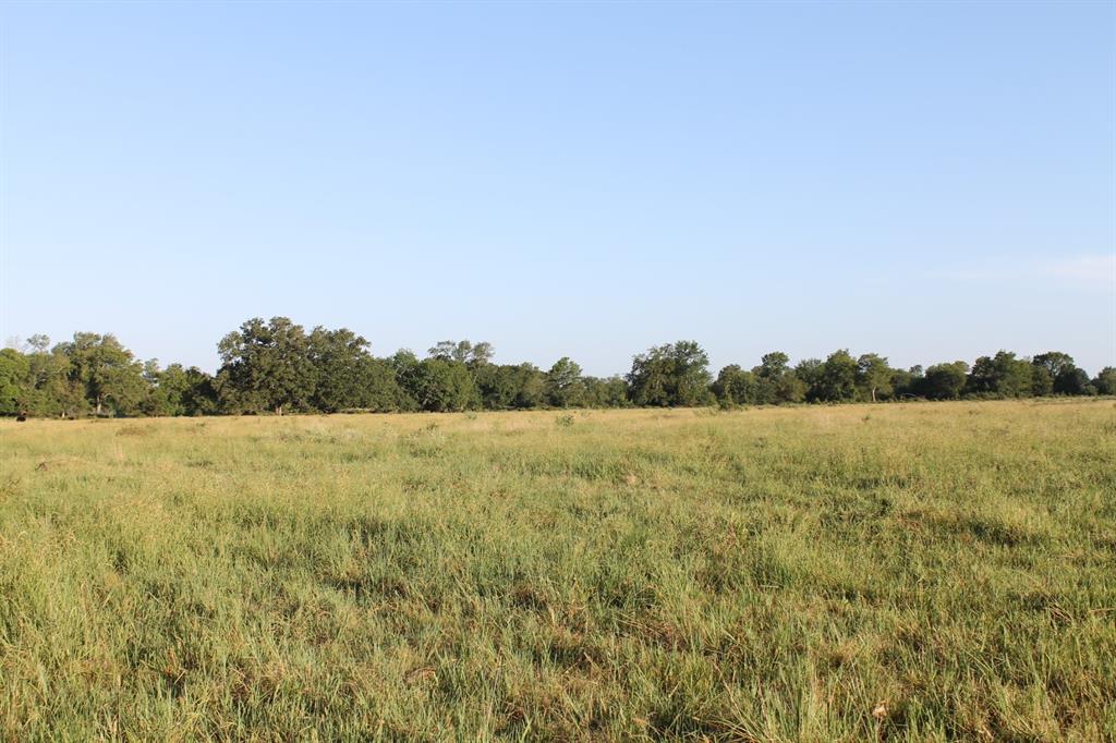 227 Ac Cr 1137 Property Photo 20