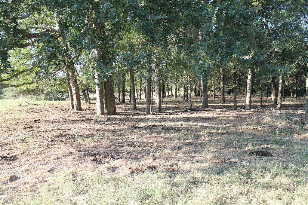 227 Ac Cr 1137 Property Photo 22