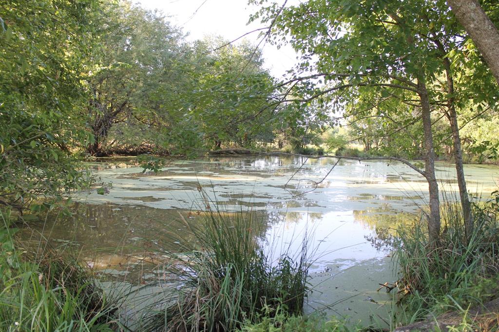 227 Ac Cr 1137 Property Photo 26