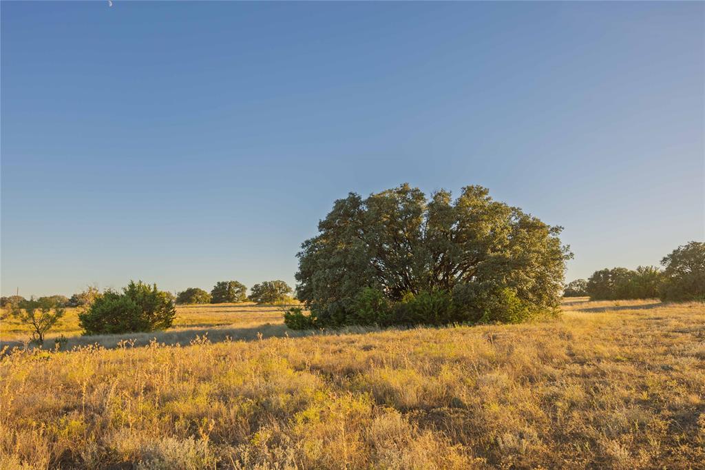 3270 Fm-573 Property Photo 33