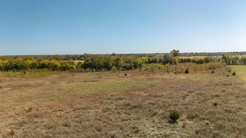 3.5 Acs County Road 4209 Property Photo 9