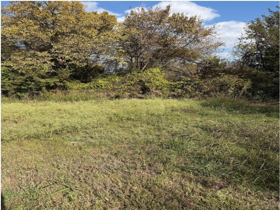 605 Bost Street Property Photo 3