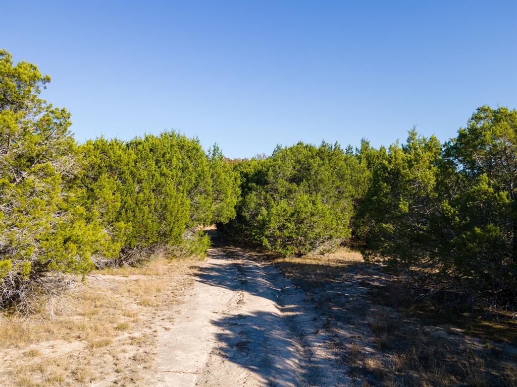 Tbd County Road 1045 Property Photo 10