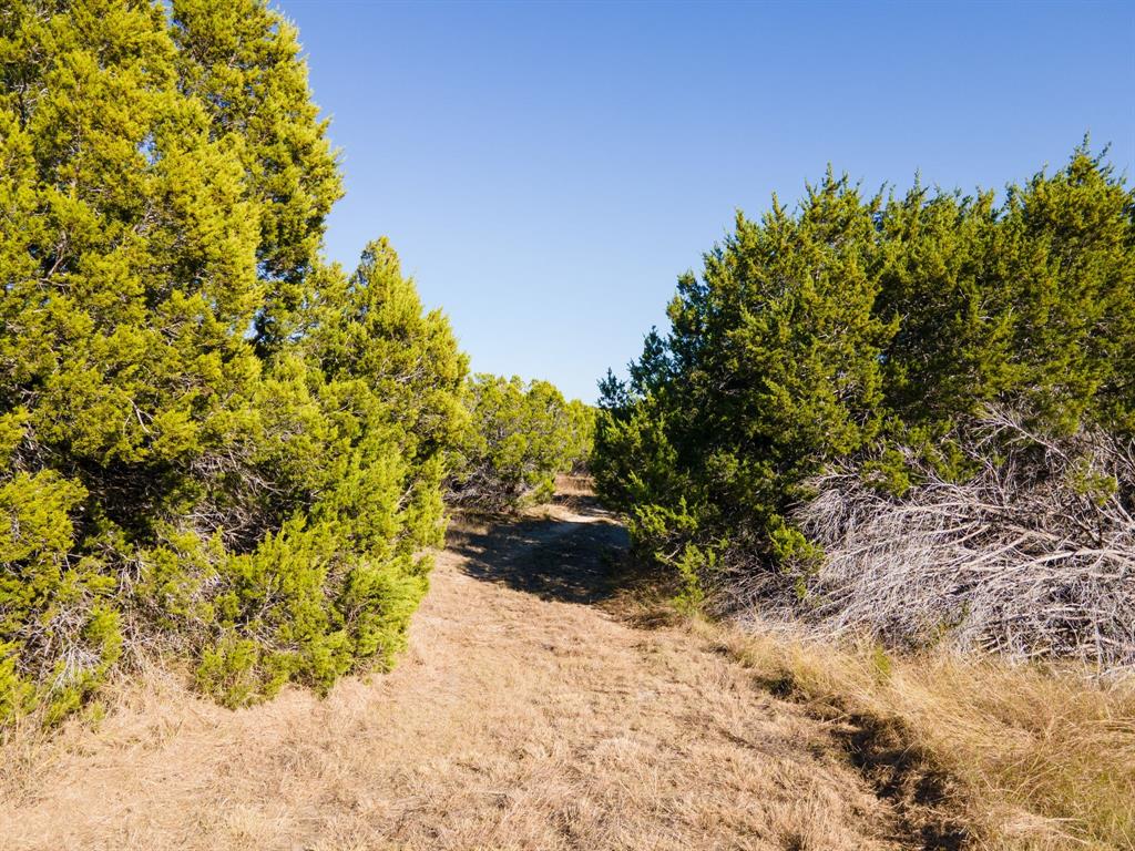 Tbd County Road 1045 Property Photo 11