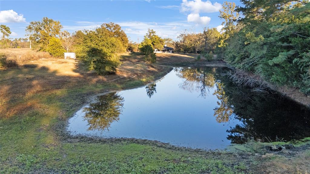 9086 Fm 49 Property Photo 4