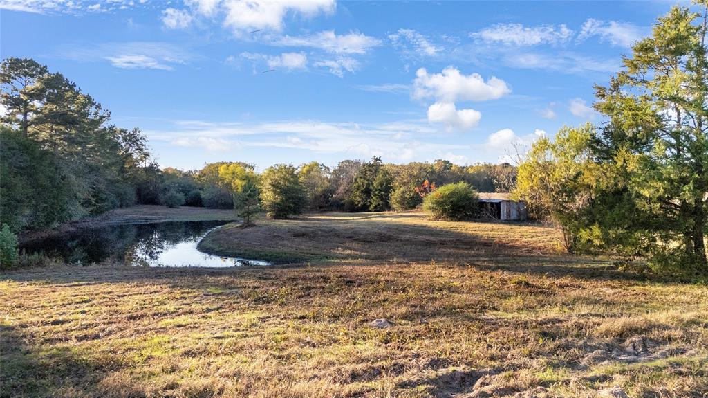 9086 Fm 49 Property Photo 30