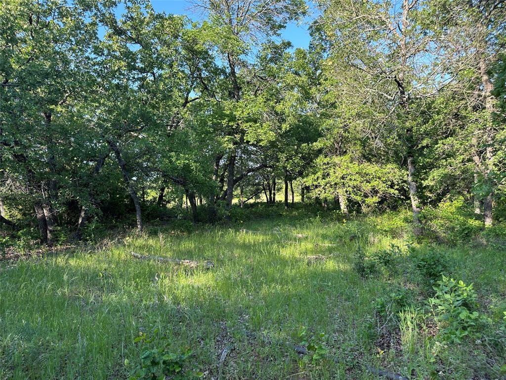 Tbd County Road 1895 Property Photo 2