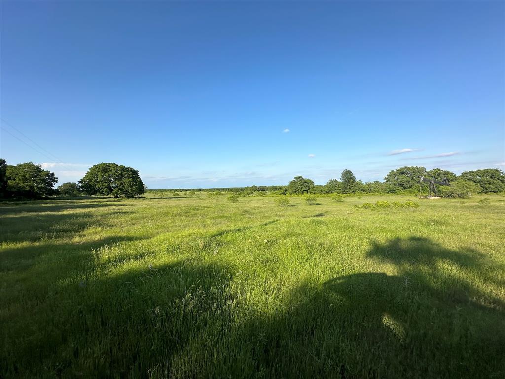 Tbd County Road 1895 Property Photo 3