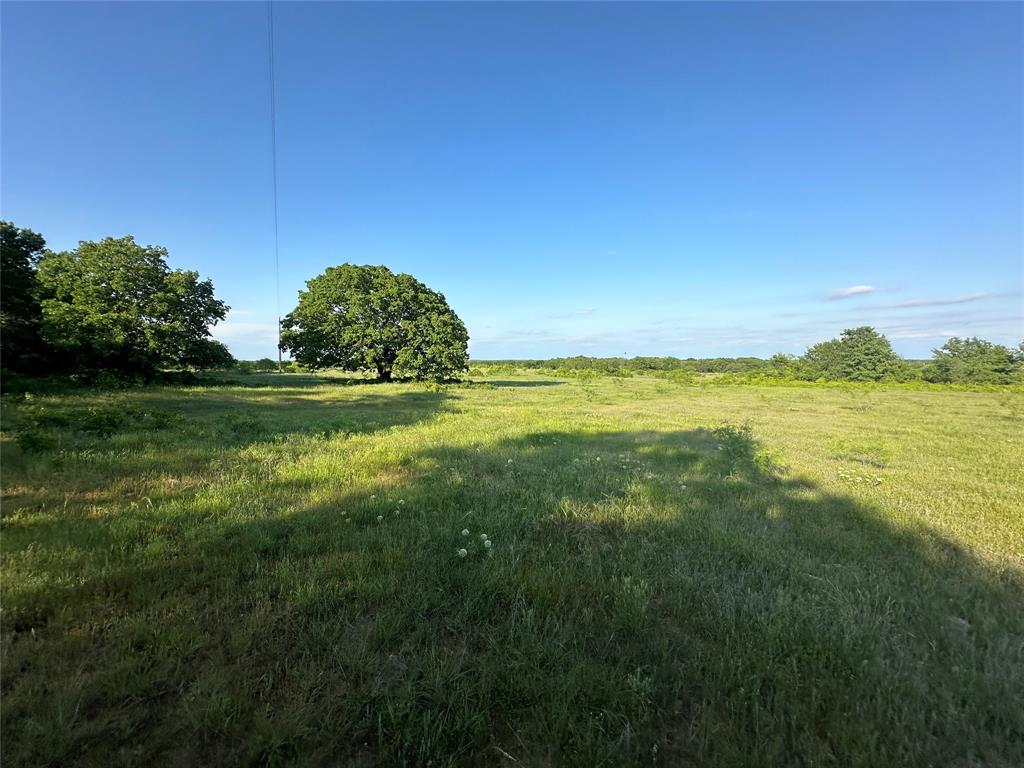 Tbd County Road 1895 Property Photo 5
