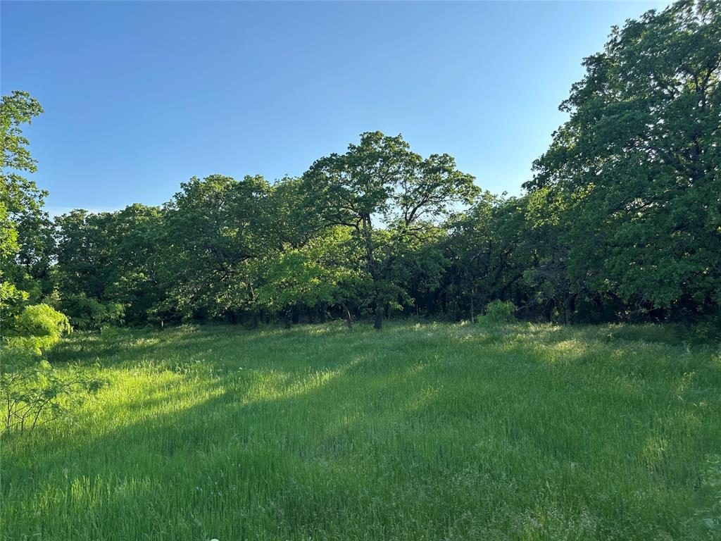 Tbd County Road 1895 Property Photo 7