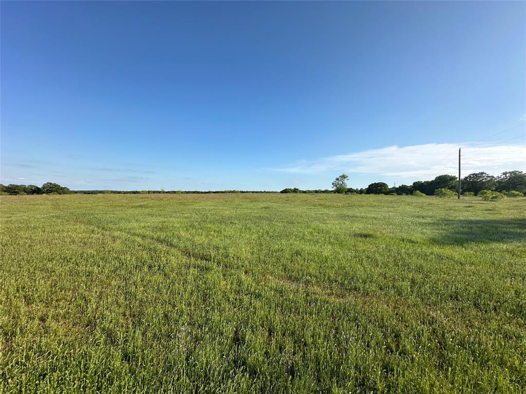 Tbd County Road 1895 Property Photo 8