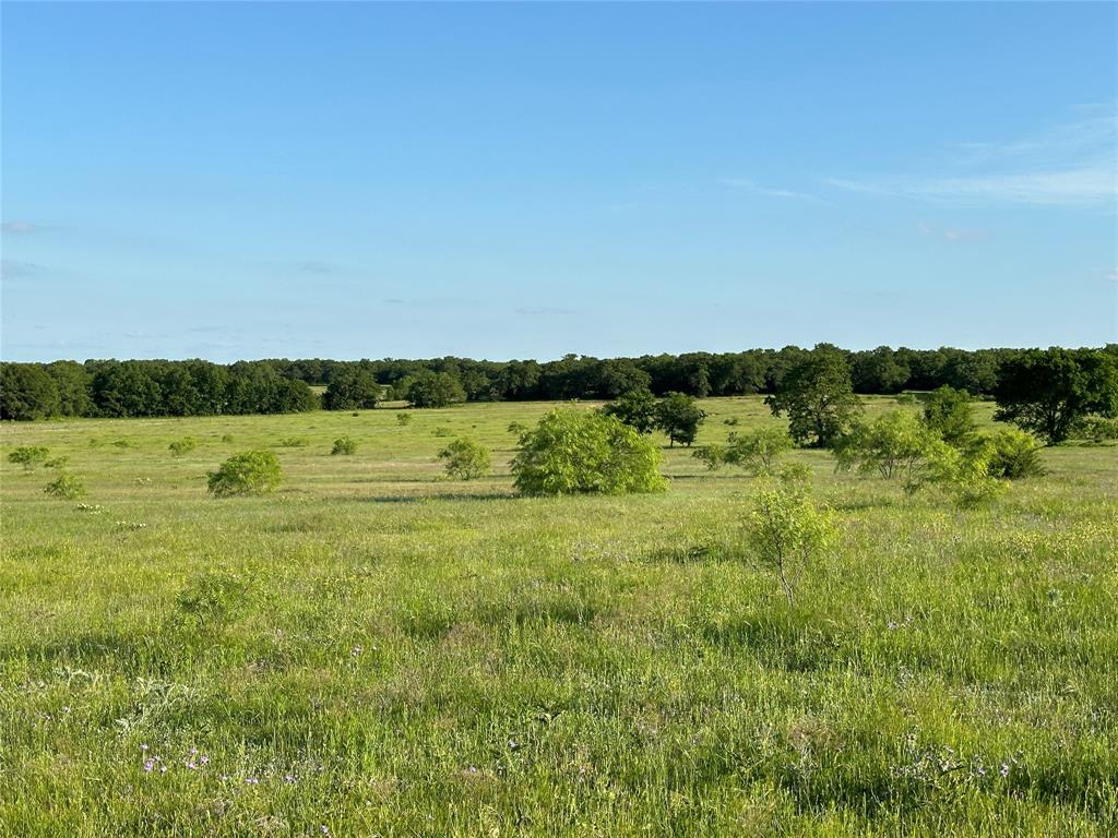Tbd County Road 1895 Property Photo 9