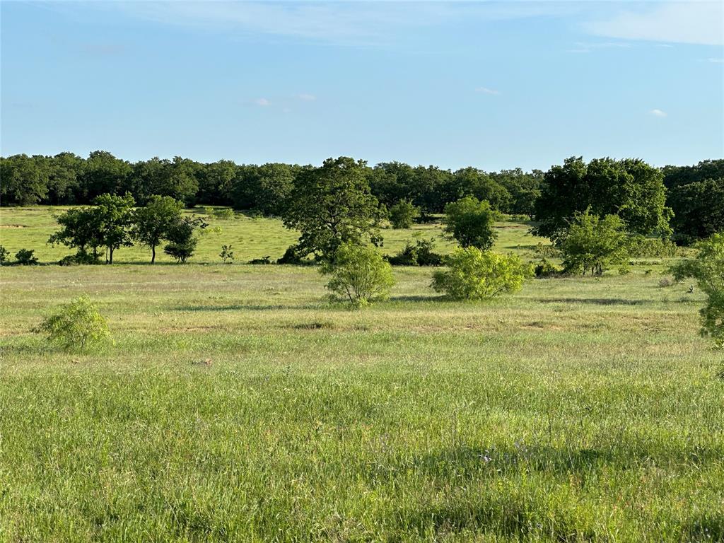 Tbd County Road 1895 Property Photo 10