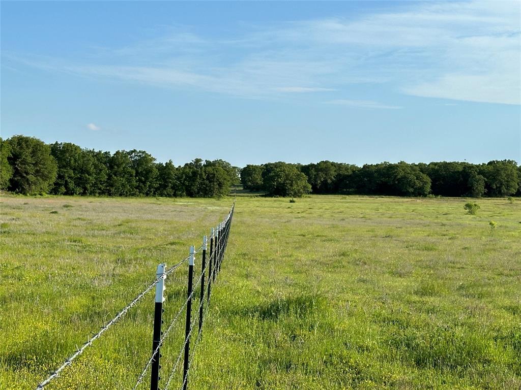Tbd County Road 1895 Property Photo 12