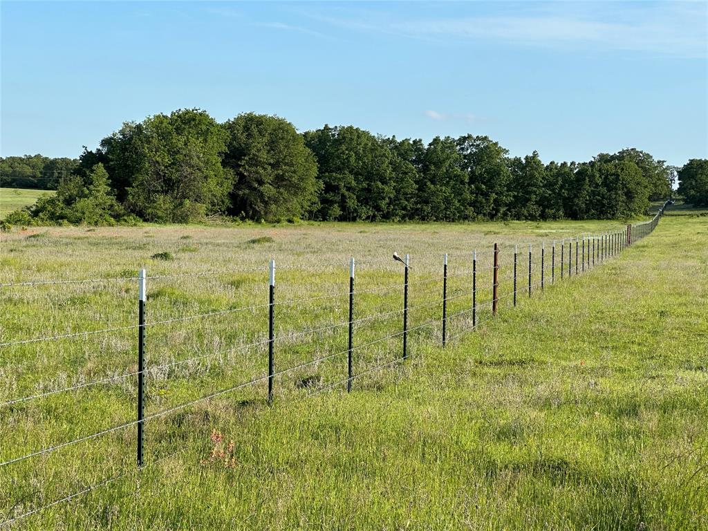 Tbd County Road 1895 Property Photo 13