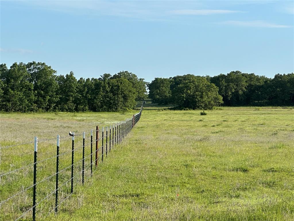Tbd County Road 1895 Property Photo 14