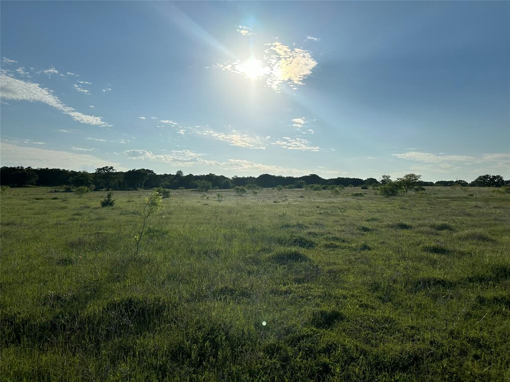 Tbd County Road 1895 Property Photo 15