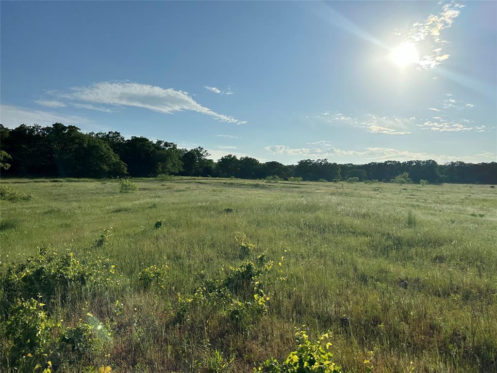 Tbd County Road 1895 Property Photo 16