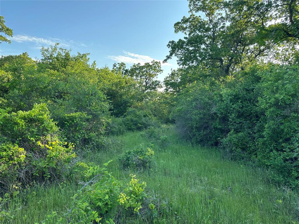 Tbd County Road 1895 Property Photo 17