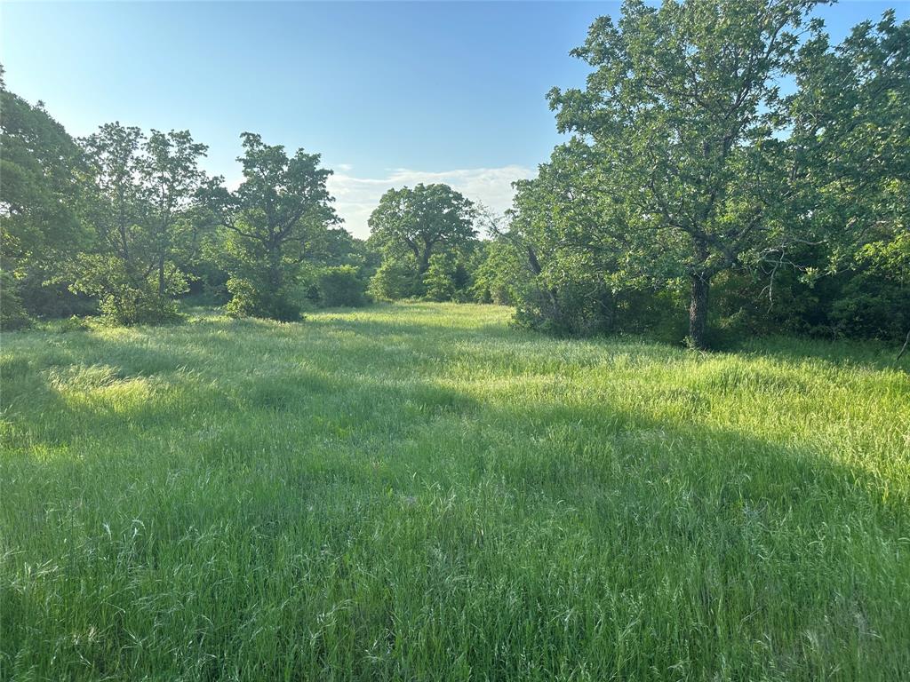Tbd County Road 1895 Property Photo 19