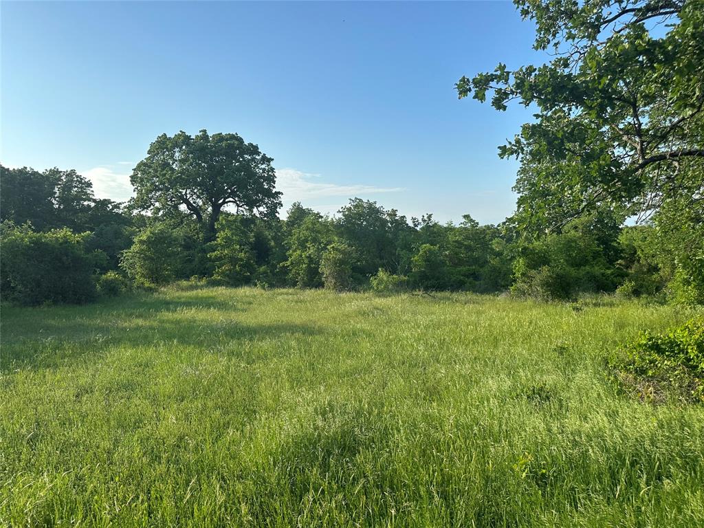 Tbd County Road 1895 Property Photo 20