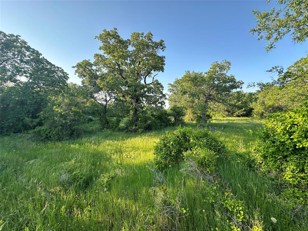 Tbd County Road 1895 Property Photo 21