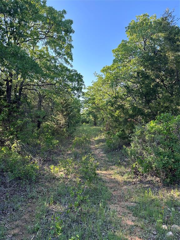 Tbd County Road 1895 Property Photo 22
