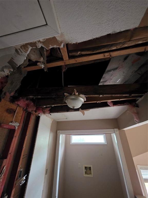 55 Birch Street Property Photo 7