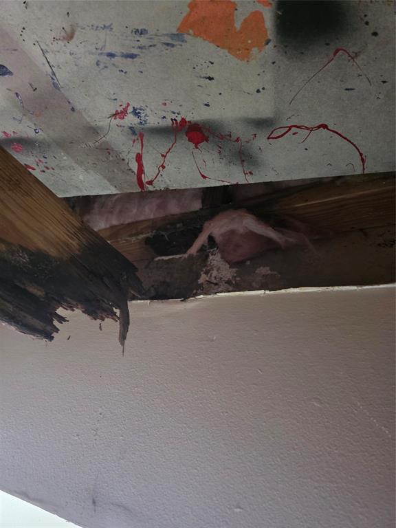 55 Birch Street Property Photo 9