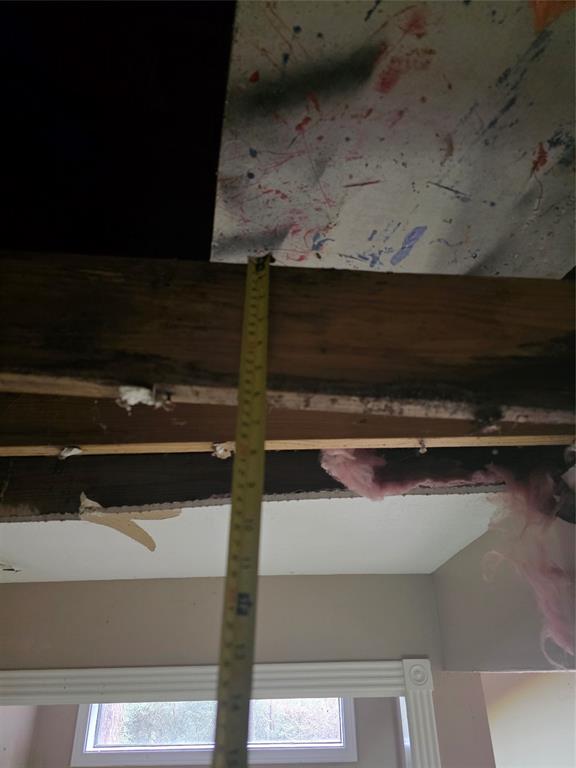 55 Birch Street Property Photo 10