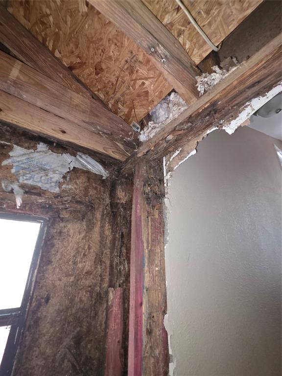 55 Birch Street Property Photo 14
