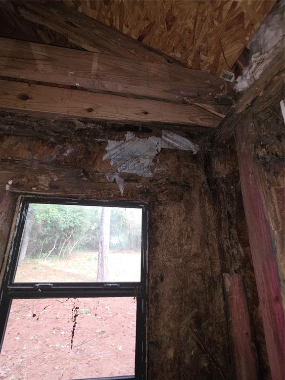55 Birch Street Property Photo 15