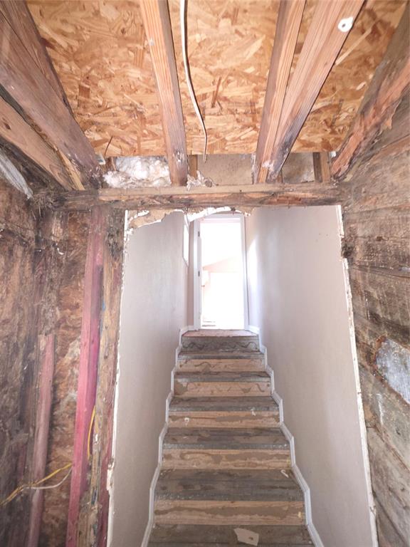 55 Birch Street Property Photo 16