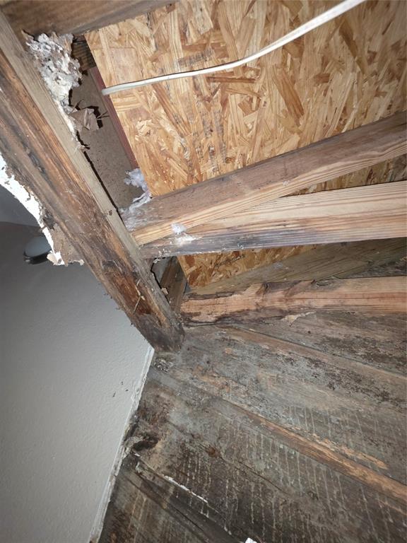 55 Birch Street Property Photo 19