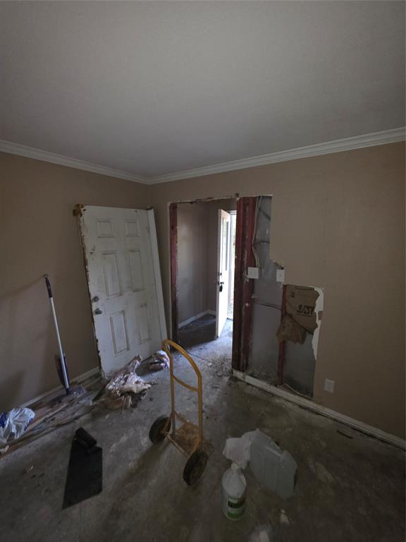 55 Birch Street Property Photo 29