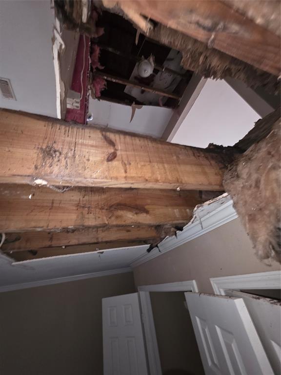55 Birch Street Property Photo 39