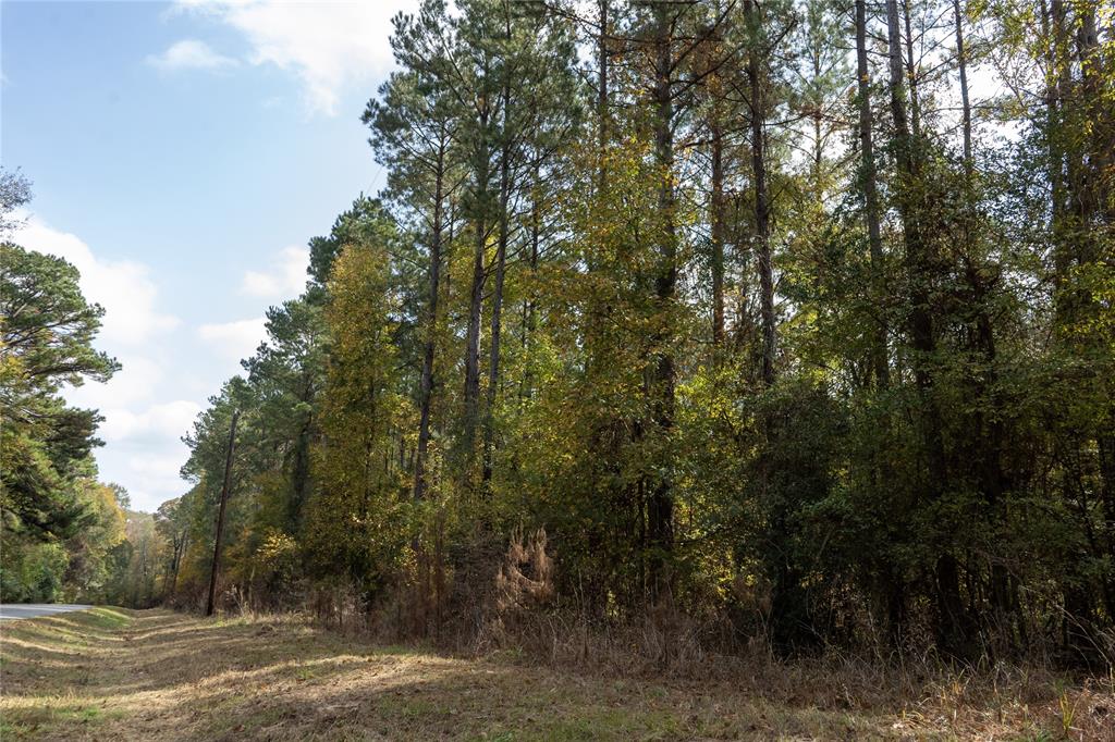 0 Harper Bottom Road Property Photo 3