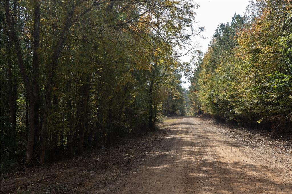 0 Harper Bottom Road Property Photo 11