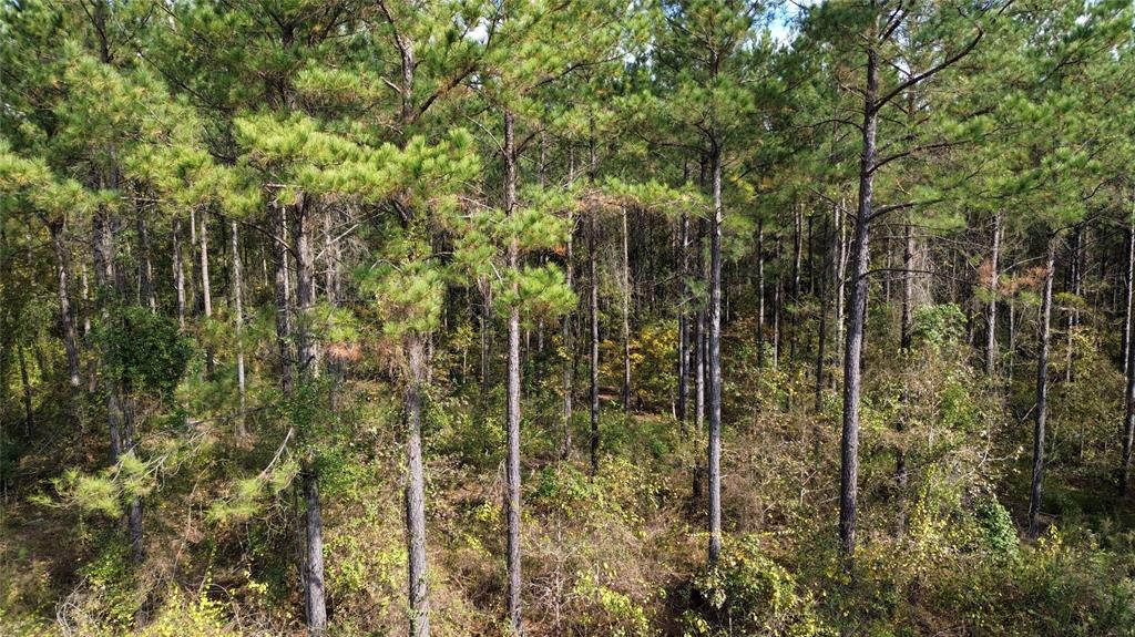 0 Harper Bottom Road Property Photo 13