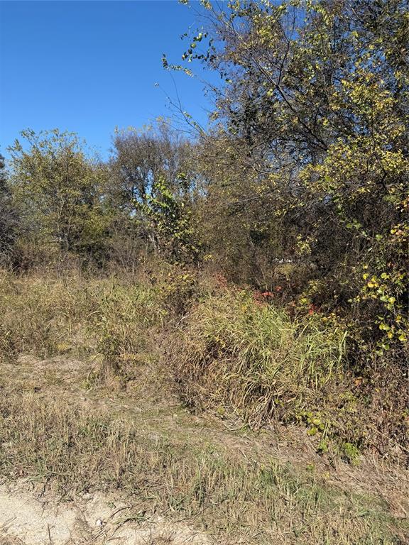 0000 Ridge Crest Property Photo 6
