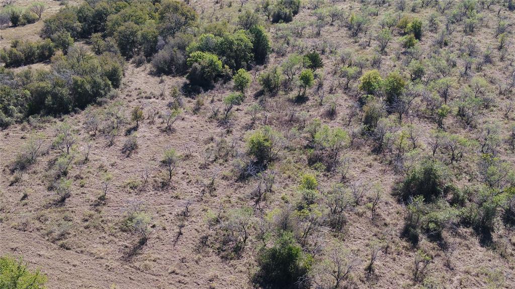 Tbd Tract 6 County Rd. 228 Property Photo 6