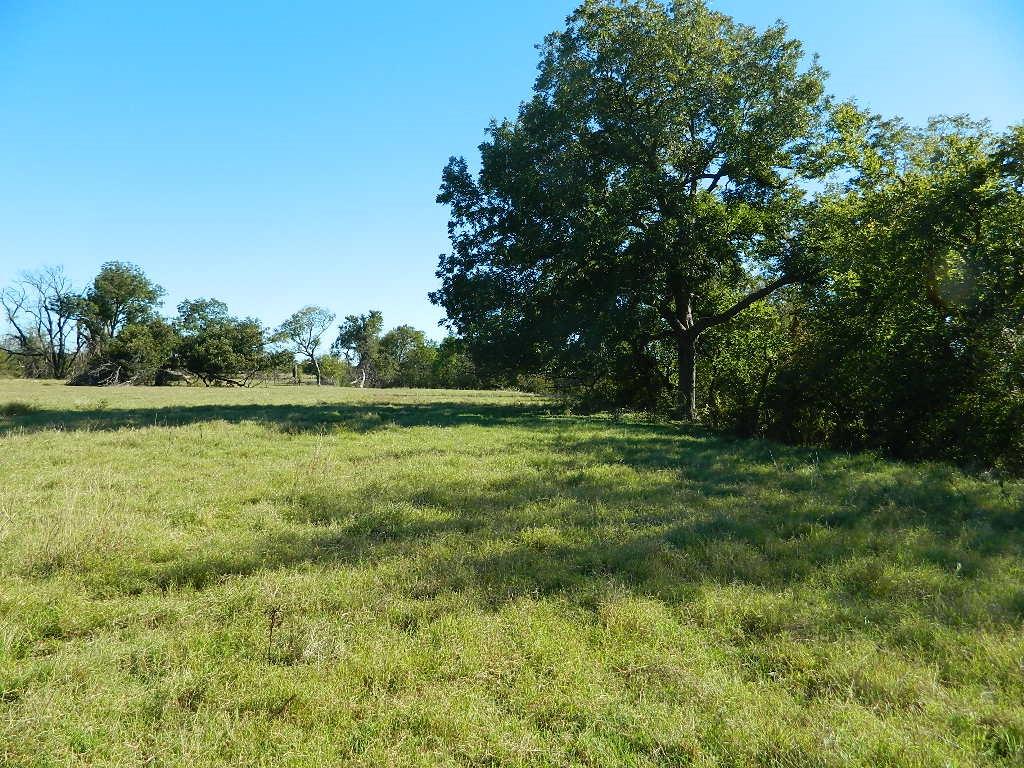2435 County Road 247 Property Photo 14